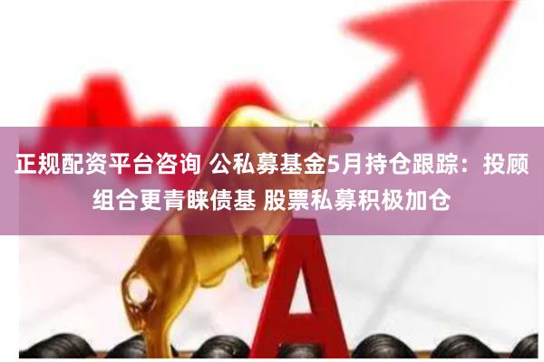 正规配资平台咨询 公私募基金5月持仓跟踪：投顾组合更青睐债基 股票私募积极加仓