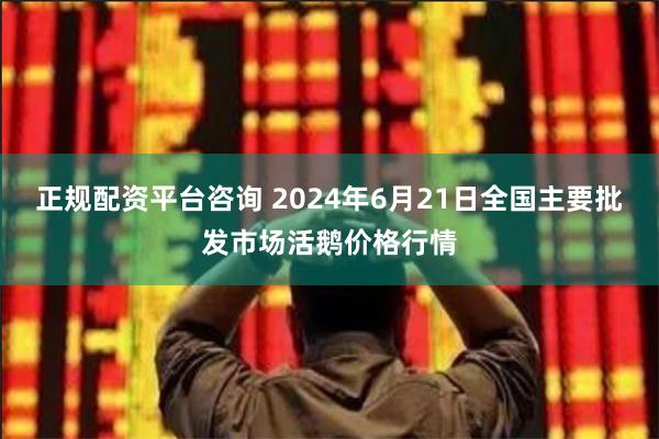正规配资平台咨询 2024年6月21日全国主要批发市场活鹅价格行情