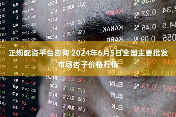正规配资平台咨询 2024年6月5日全国主要批发市场杏子价格行情