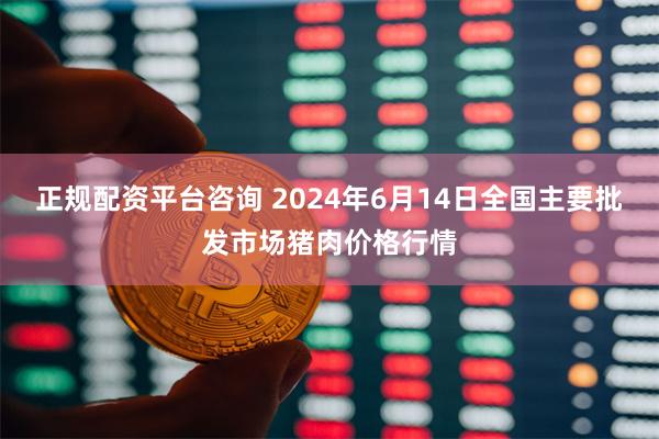 正规配资平台咨询 2024年6月14日全国主要批发市场猪肉价格行情