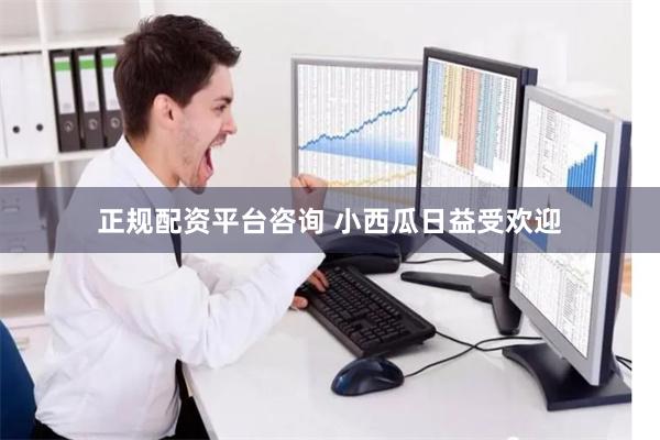 正规配资平台咨询 小西瓜日益受欢迎