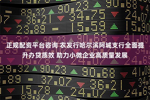 正规配资平台咨询 农发行哈尔滨阿城支行全面提升办贷质效 助力小微企业高质量发展