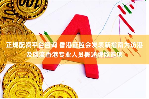 正规配资平台咨询 香港证监会发表新指南为访港及回流香港专业人员概述牌照选项